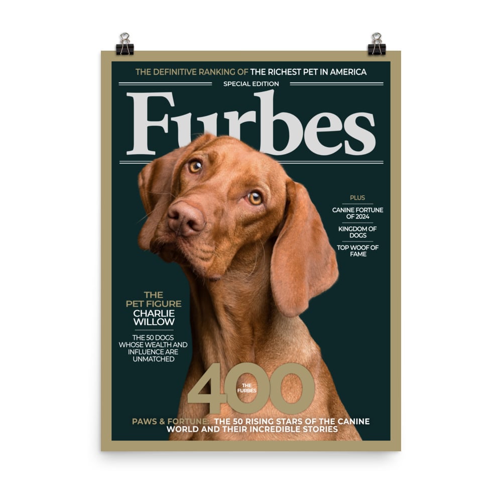 Furbes Magazine
