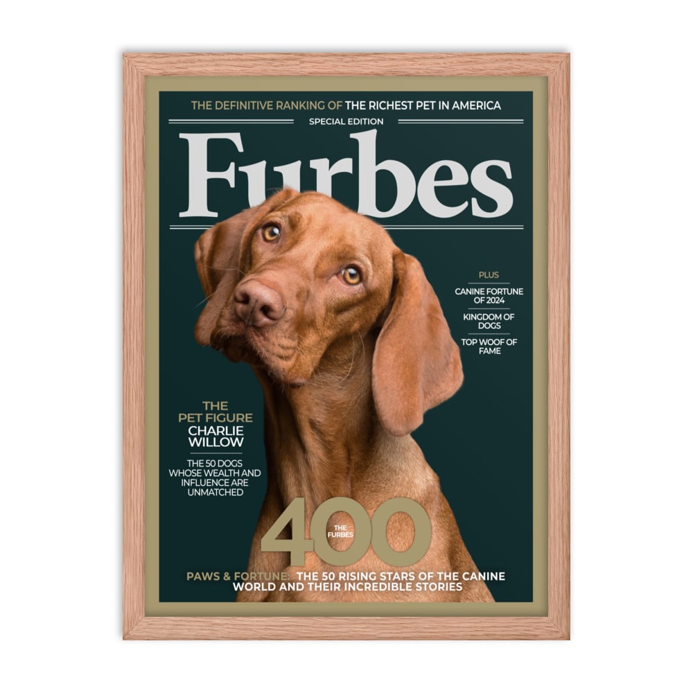 Furbes Magazine